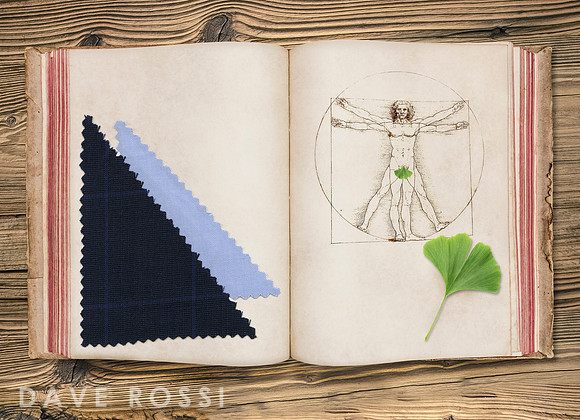 Vitruvian Man and swatches by Dave Rossi