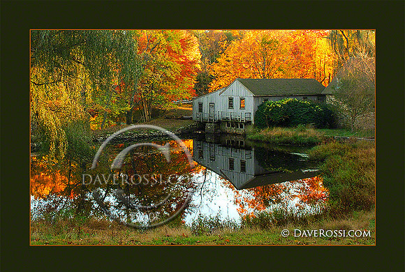 Waterloo Mill
